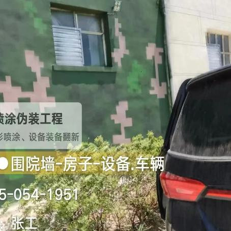 渭南数码迷彩漆施工